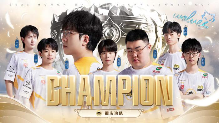 罗纳尔多加