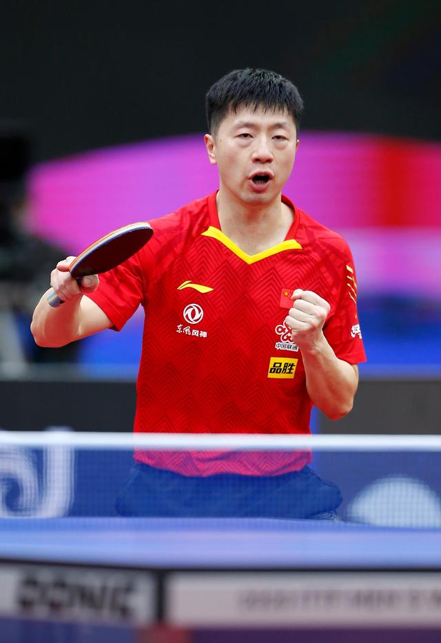 仅显示了年 仅显示了年